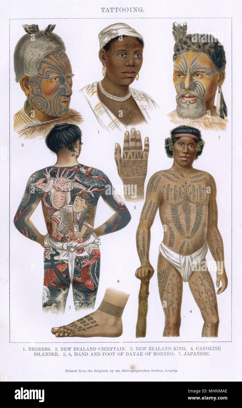 Tattooing Styles from around the world: 1. West African Woman 2. New Zealand Maori Chieftain 3. New Zealand Maori King 4. Caroline Islander 5/6. Hand and foot tattoos of a Dayak of Borneo 7. Japanese full-body tattoo.     Date: circa 1895 Stock Photo