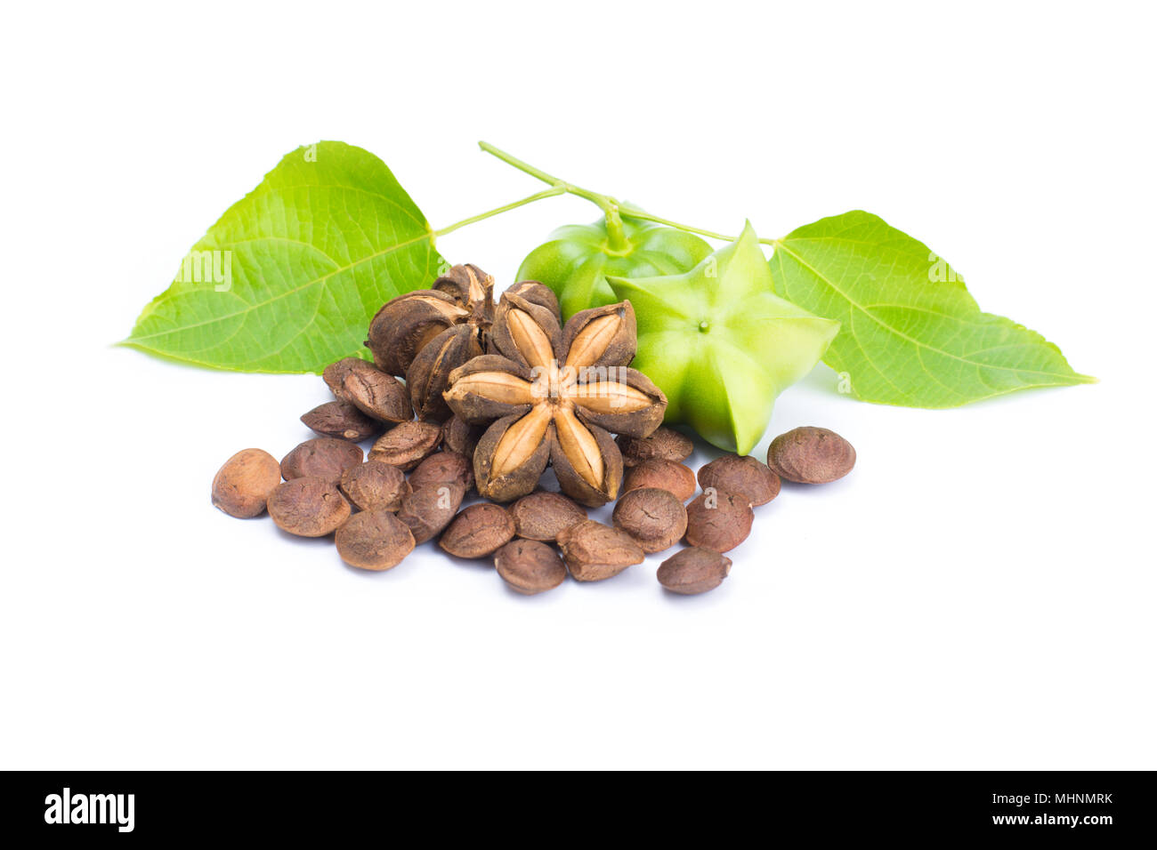 Plukenetia volubilis or sacha inchi peanut seed isolated on white background Stock Photo