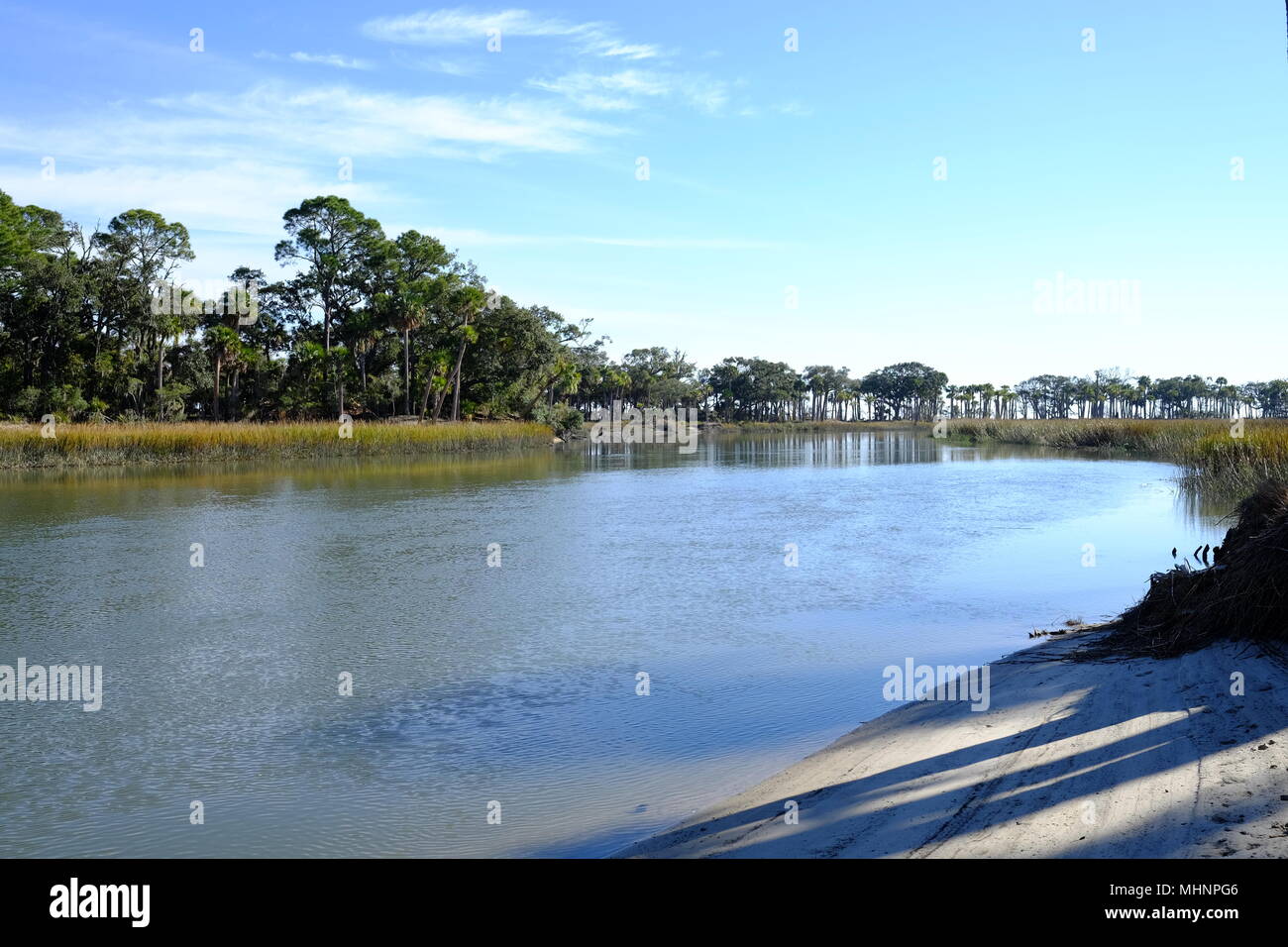 Trees on Hunting Island, South Carolina Stock Photo Alamy