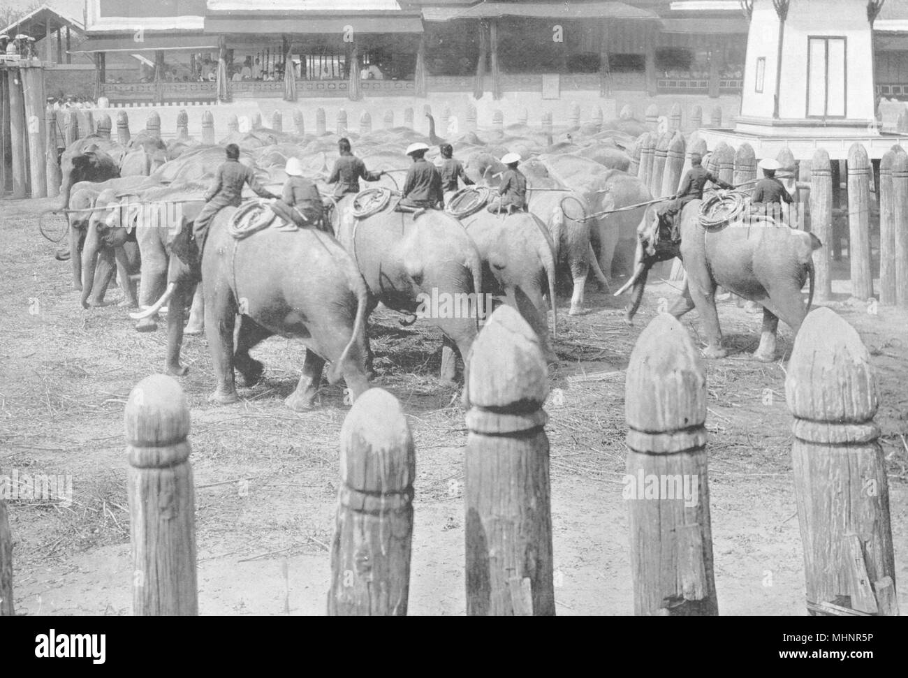 People of siam Black and White Stock Photos & Images - Alamy People of siam Black and White Stock Photos & Images - Alamy