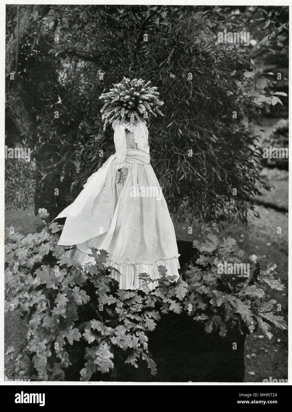 Kern Baby 1902 Stock Photo