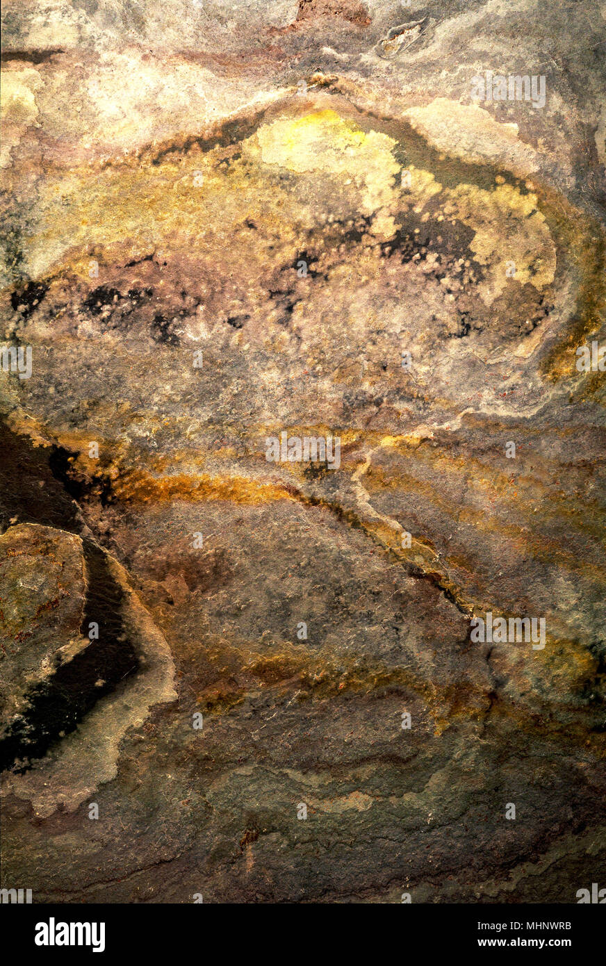 Textures that Mimic Natural Elements Like Marble, Wood, and Stone for an  Earthy Touch. Background Stock Illustration - Illustration of texture,  natural: 294601760