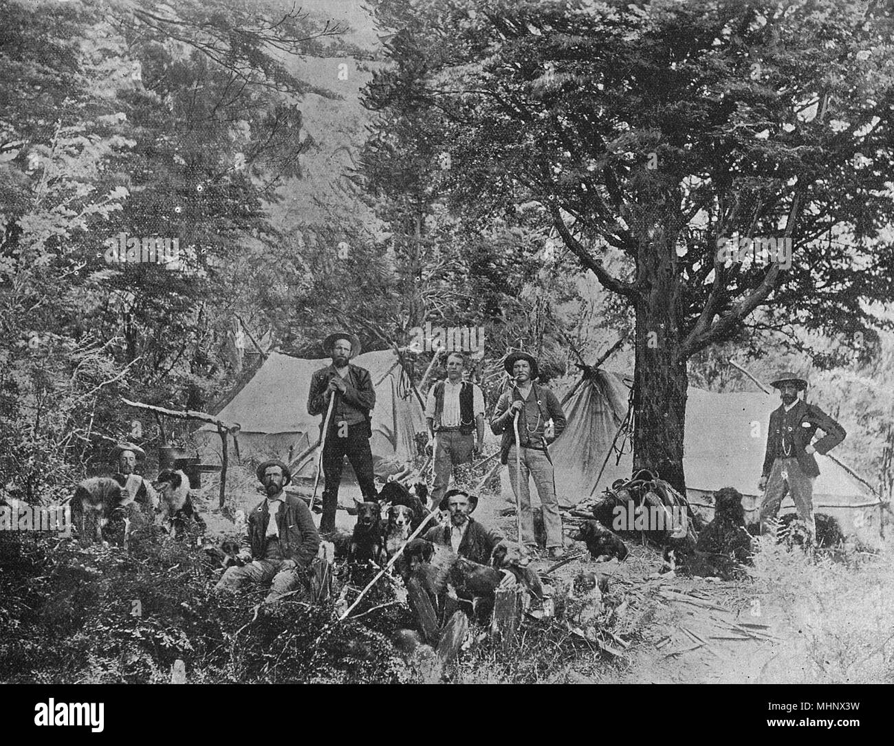 Musterers in camp at sheep shearing time, Amuri County (now Huruni District), South Island, New Zealand.      Date: circa 1900 Stock Photo