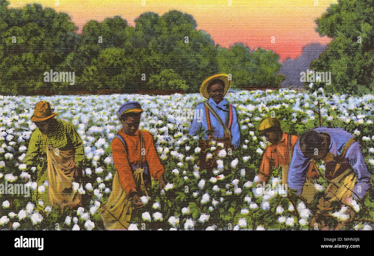 Postcard booklet, workers in the cotton fields, Dixieland, USA.      Date: 1937 Stock Photo