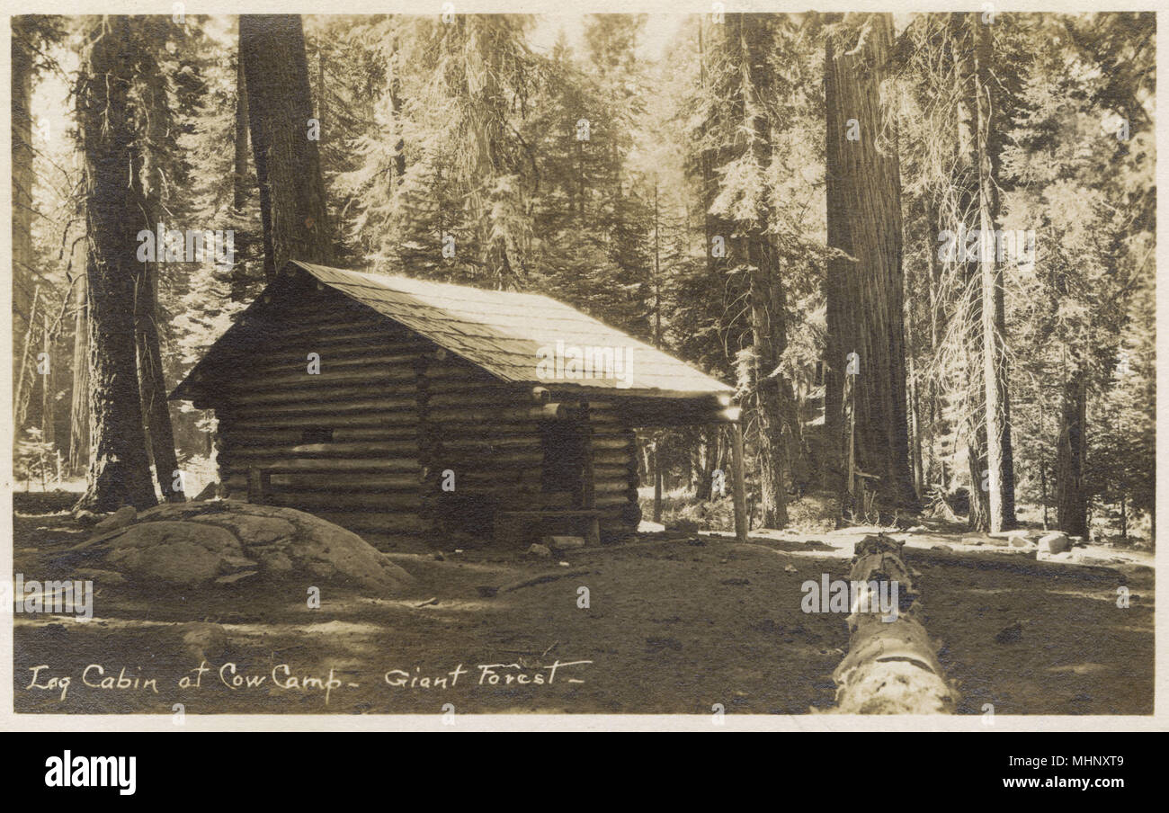 Log Cabin At Cow Camp Giant Forest California Usa Date Circa