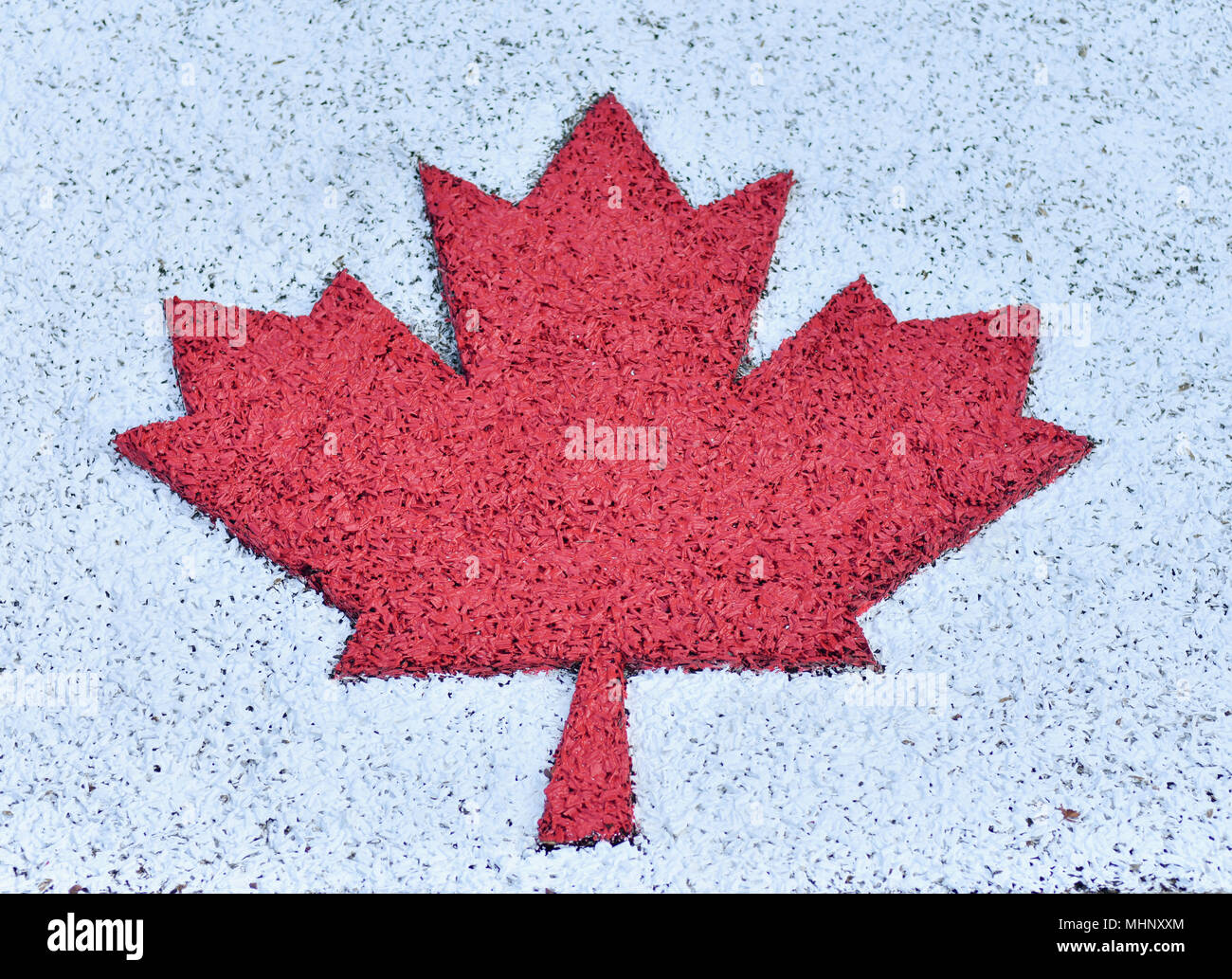 Flag of Canada painted on a white background Stock Photo - Alamy