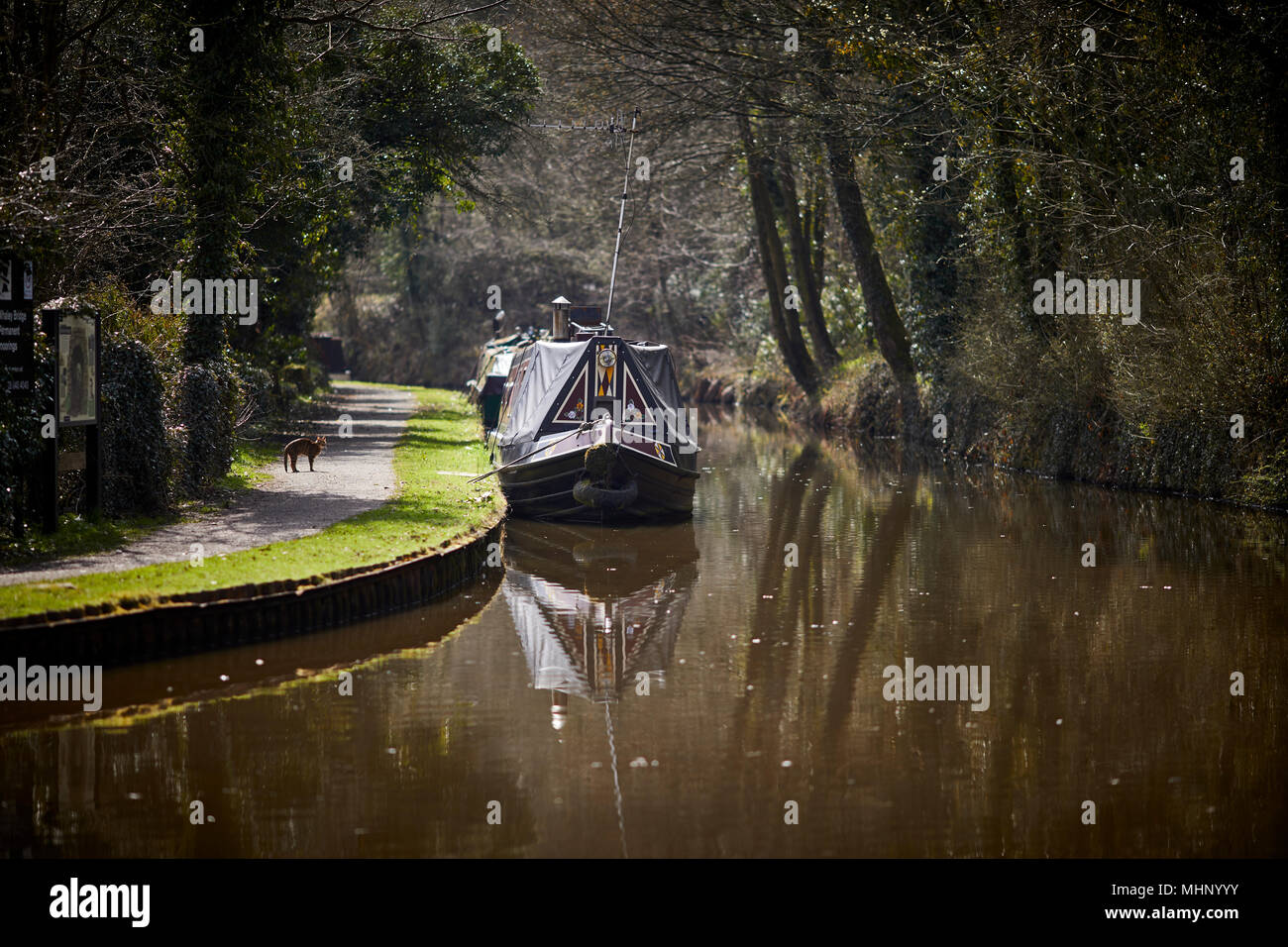 Moored narrow boats on moorings at the Peak Forest Canal in the High peak at Whaley Bridge in Derbyshire, England Stock Photo