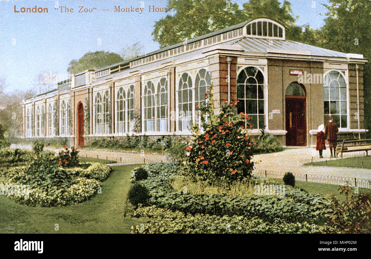 Monkey House building at London Zoo Stock Photo Alamy