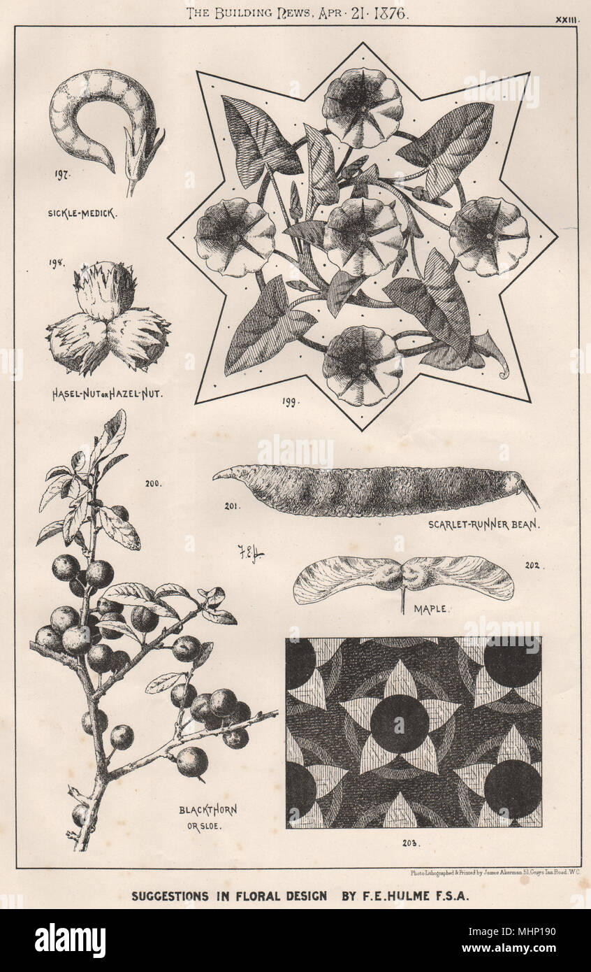Suggestions in Floral; Design by F.E. Hulme F.S.A.. Decorative (21) 1876 print Stock Photo