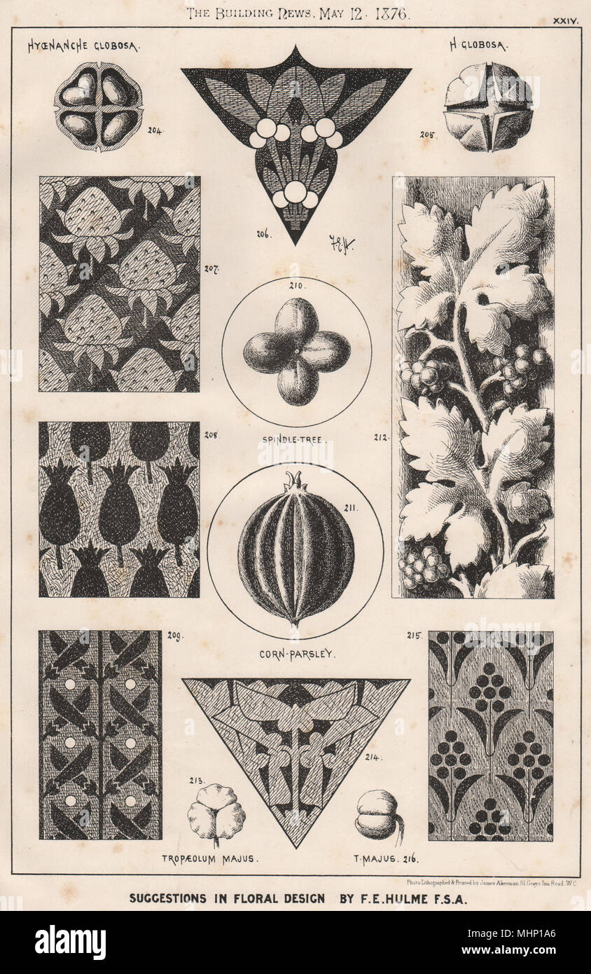 Suggestions in Floral; design by F.E. Hulme F.S.A.. Botanical 1876 old print Stock Photo