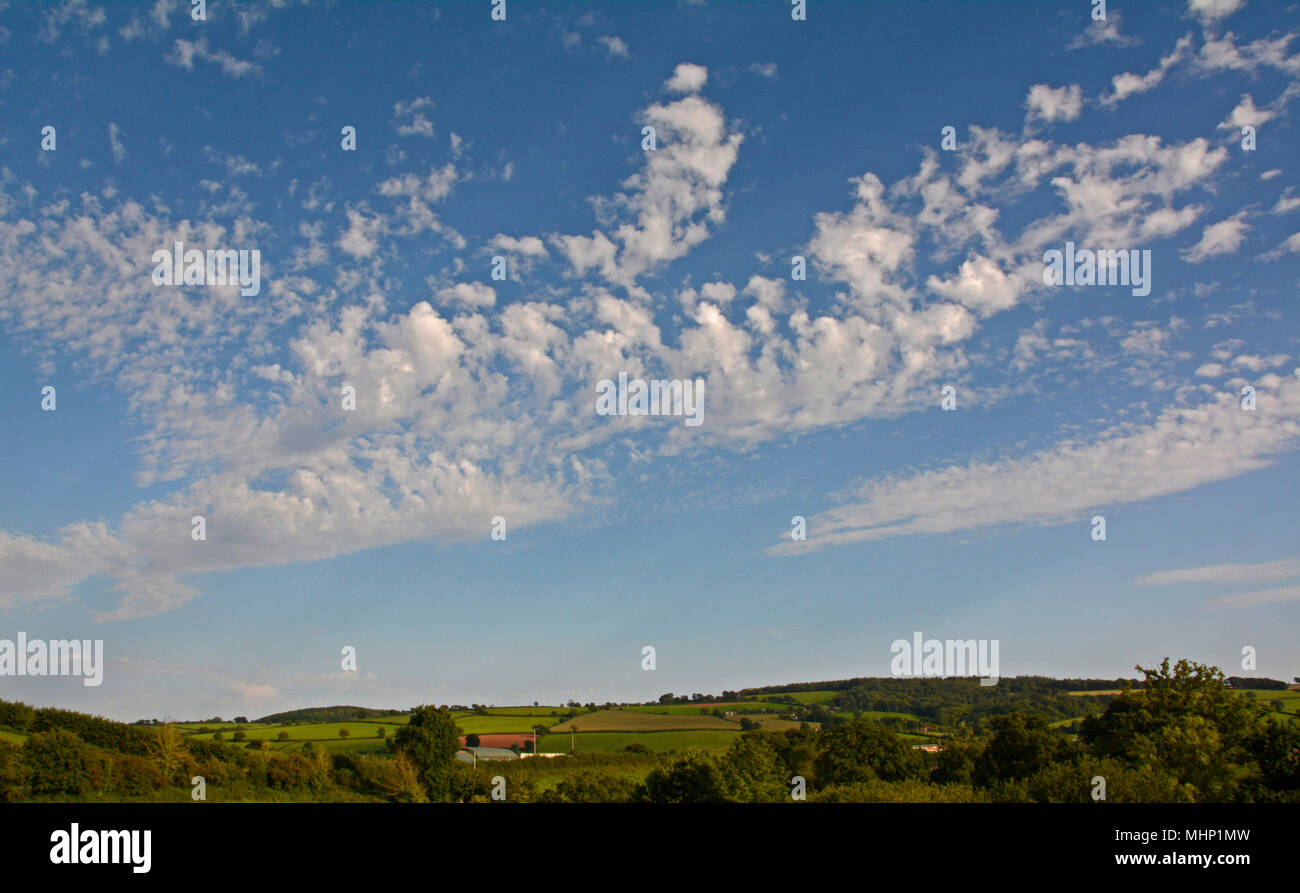 Altocumulus floccus cloud above Bradninch in Devon Stock Photo