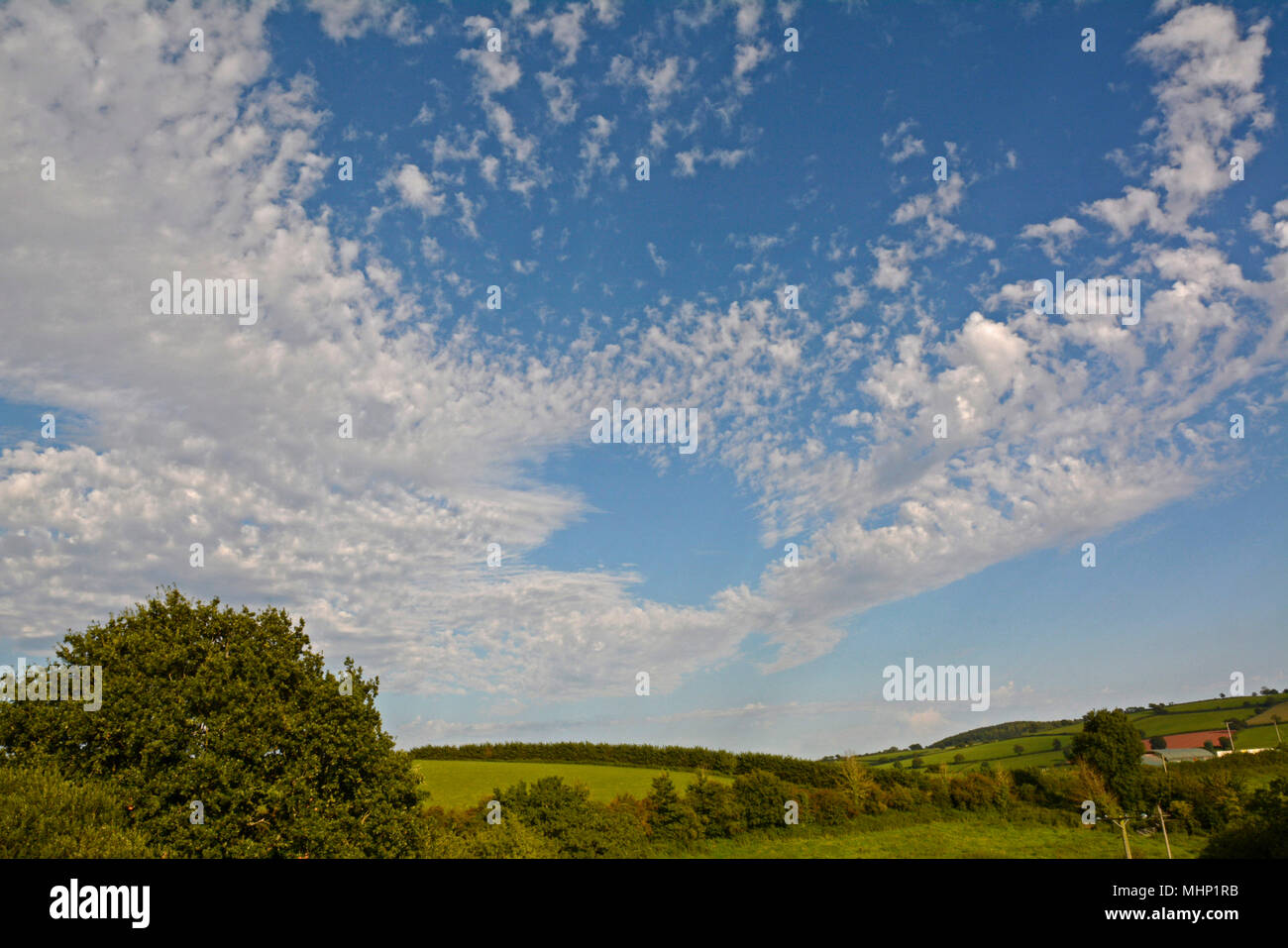 Altocumulus floccus cloud above Bradninch in Devon Stock Photo
