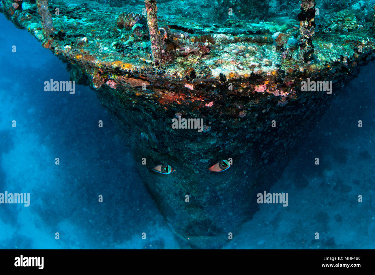 Eyes Of Ghost Ship Pirates Of Carribean Sunk Wreck