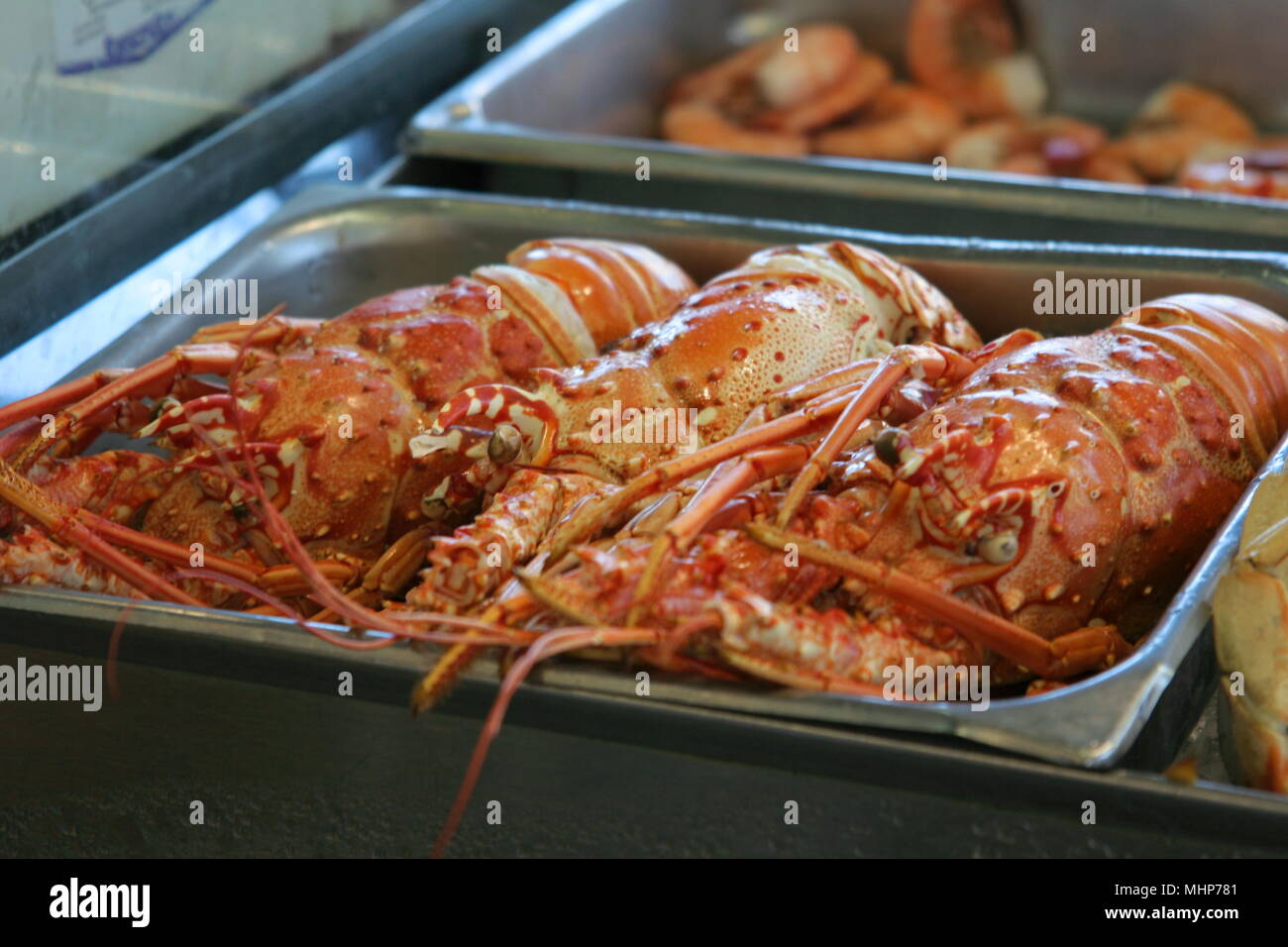 Fresh Lobsters in the Food market Fishermans wharf at San Francisco California USA Stock Photo
