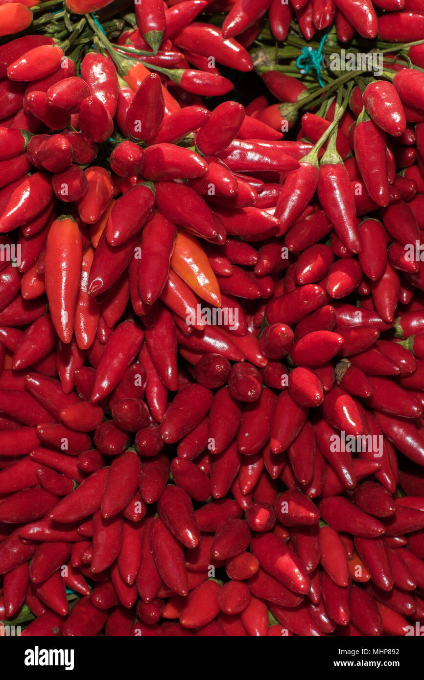 red pepper chili at the market Stock Photo Alamy