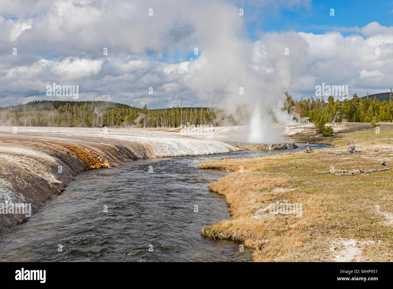 Yellowstone National Park geyser and hot springs during the spring ...