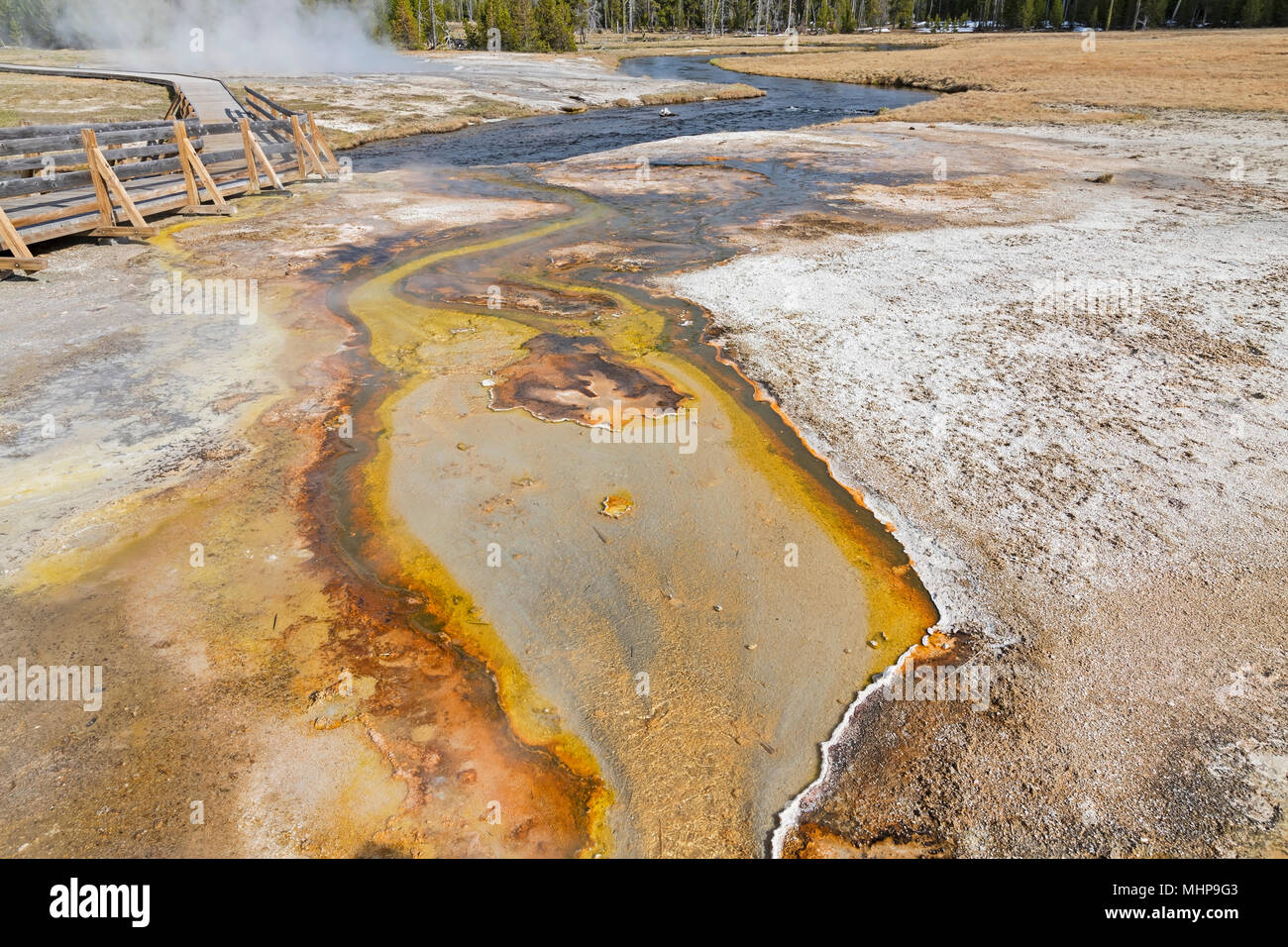 Yellowstone National Park geyser and hot springs during the spring ...