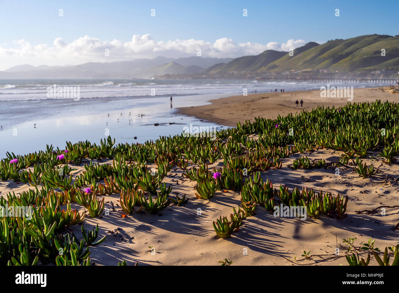 Pismo Beach, California, USA Stock Photo