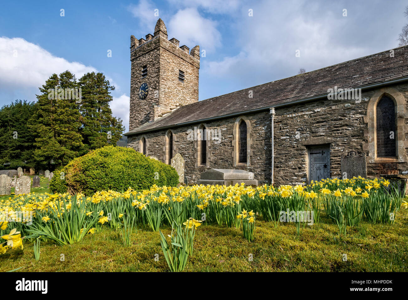 Troutbeck church surrounded by Daffodils Stock Photo Alamy
