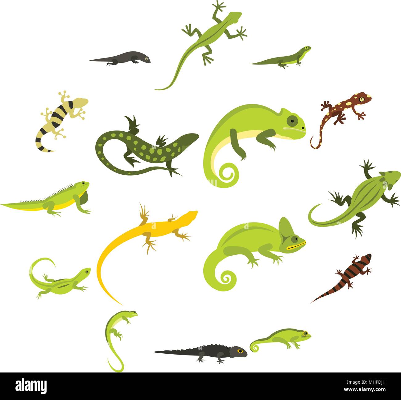 Lizard icons set, flat style Stock Vector Image & Art - Alamy