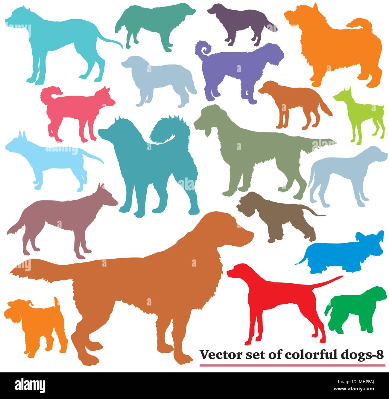 Vector set of colorful isolated different breeds dogs silhouettes on ...