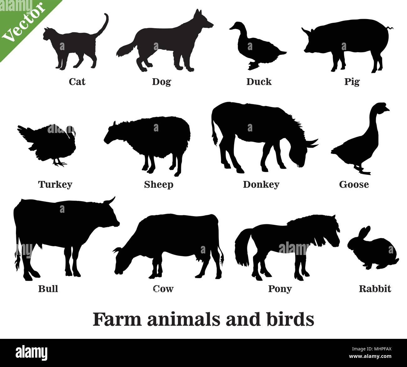 Set of vector farm animals and birds ( Dog, Cat, Cow, Turkey, Donkey, Pig, Rabbit, Goose,  Sheep, Duck, Bull) silhouettes in black color isolated on w Stock Vector