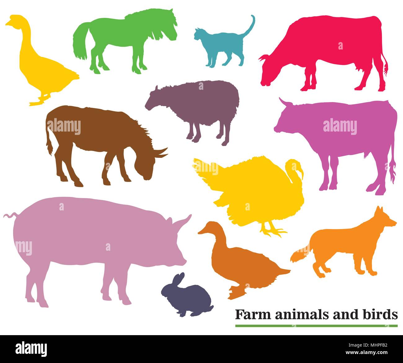 Set of colorful vector farm animals and birds ( Dog, Cat, Cow, Turkey, Donkey, Pig, Rabbit, Goose,  Sheep, Duck, Bull) silhouettes in black color isol Stock Vector