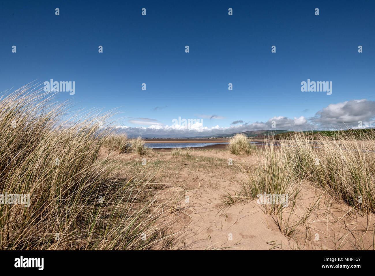 Sandscale Haws National Trust nature reserve Stock Photo Alamy