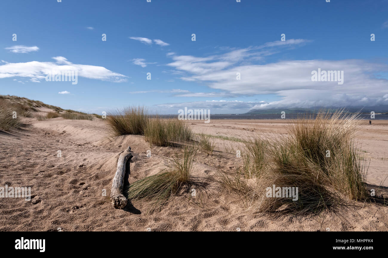 Sandscale Haws National Trust nature reserve on the Cumbrian coast