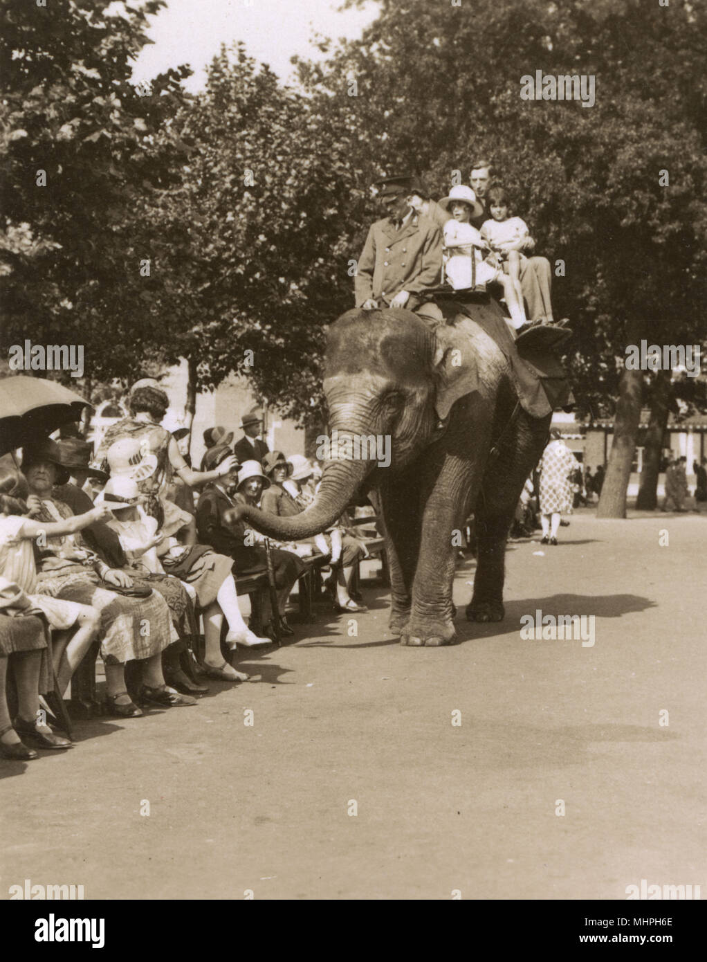 Elephant ride, Zoological Gardens, Regents Park, London Stock Photo