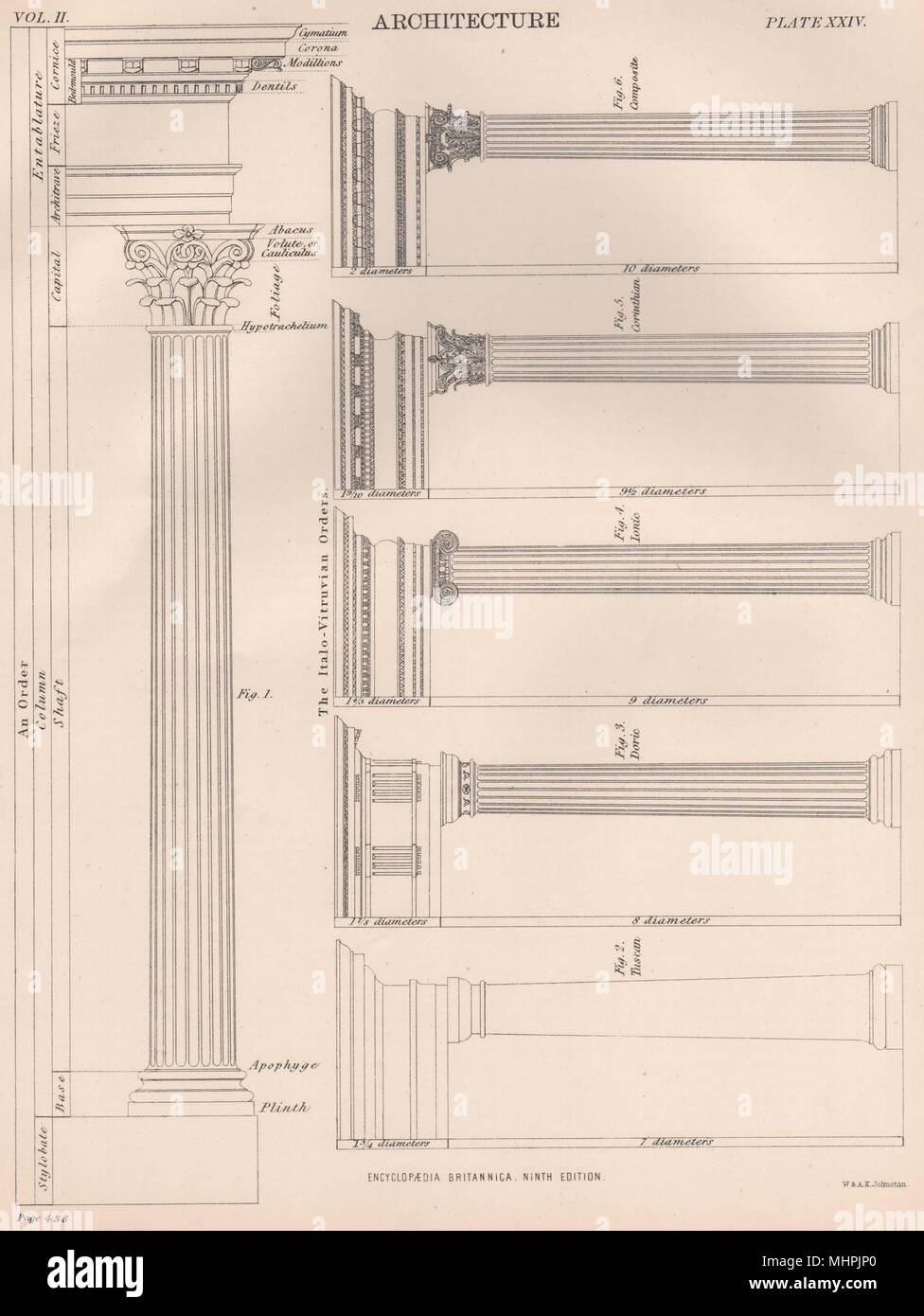 ARCHITECTURE. Apophyge plinth; Tuscan; Doric; Ionic; Corinthian; Composite 1898 Stock Photo