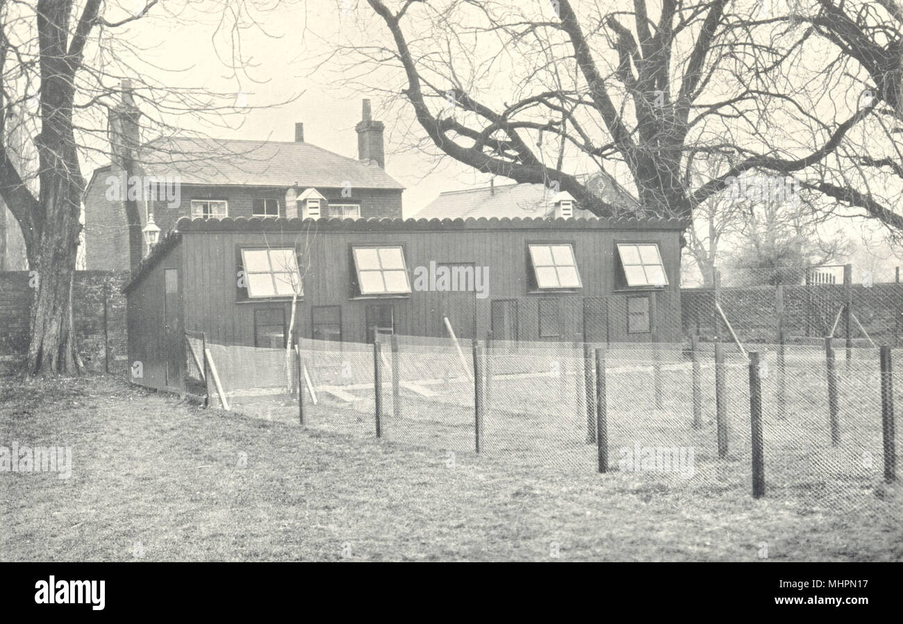 POULTRY FARMING. Chicken Rearing; Winter Brooder House at Theale, Berks 1912 Stock Photo