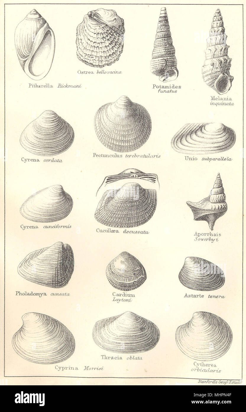 Woolwich and reading beds hires stock photography and images Alamy