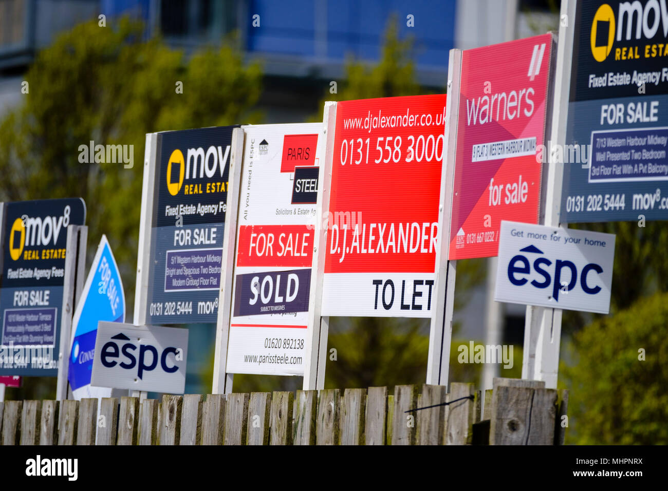 Many sign boards from estate agents for properties for sale and rent outside large modern apartment blocks at western Harbour in Leith, Edinburgh, Sco Stock Photo