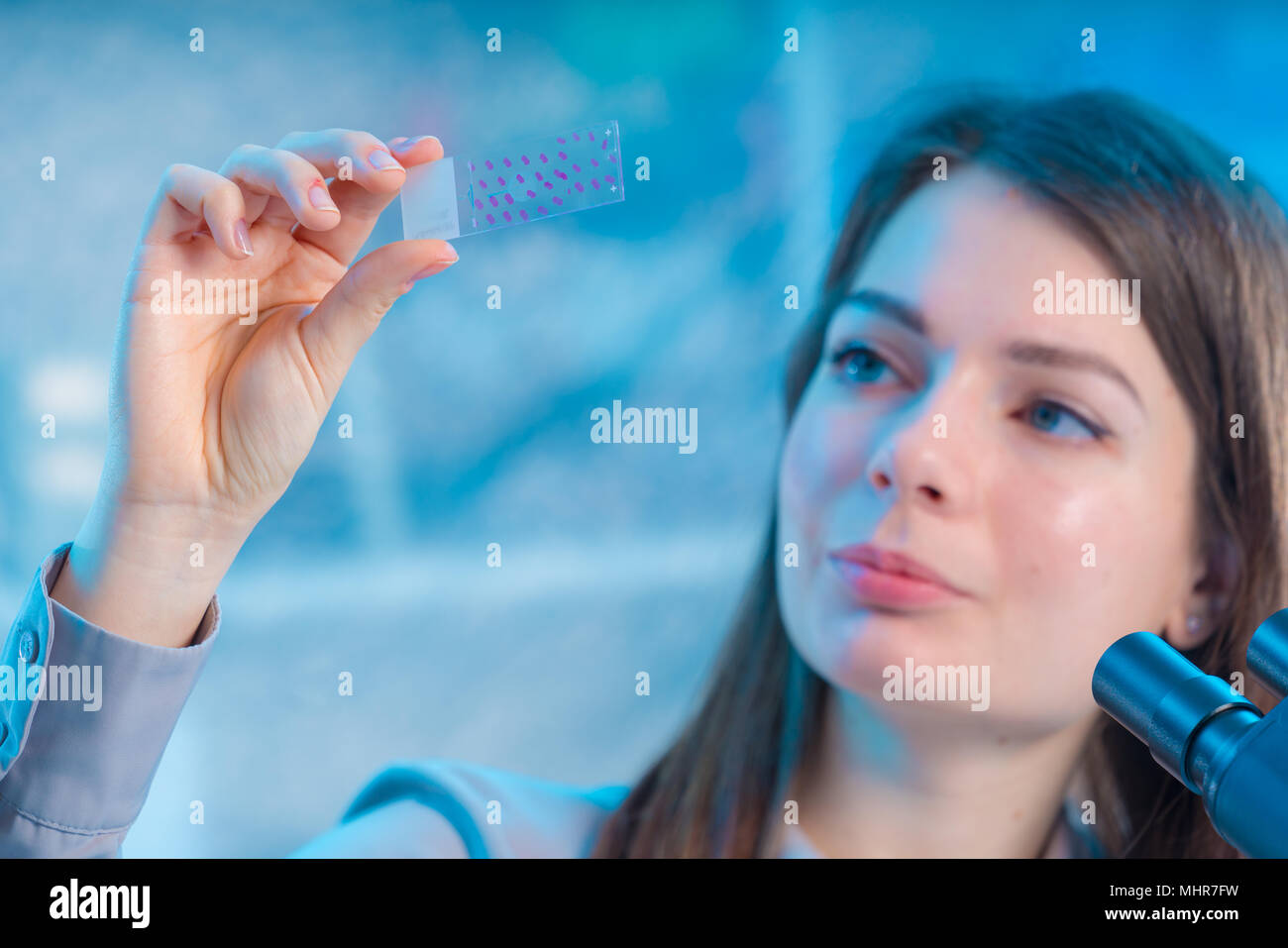 Blood sample on microscope slide. Researcher Analyzing Microscope Slide