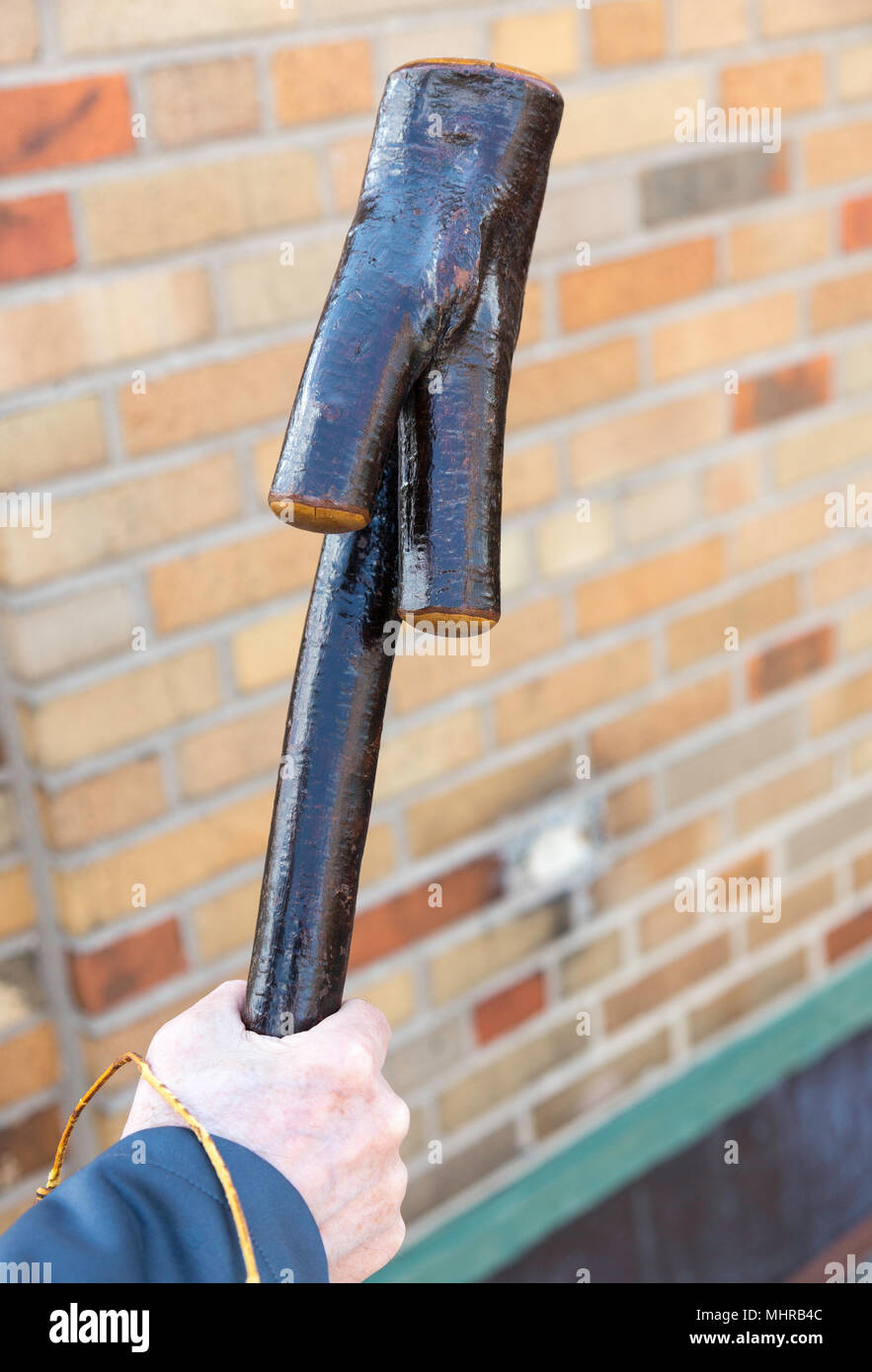 Male Hand Wielding a Shillelagh Stock Photo