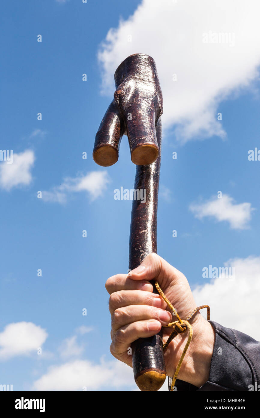 Male Hand Wielding a Shillelagh Stock Photo