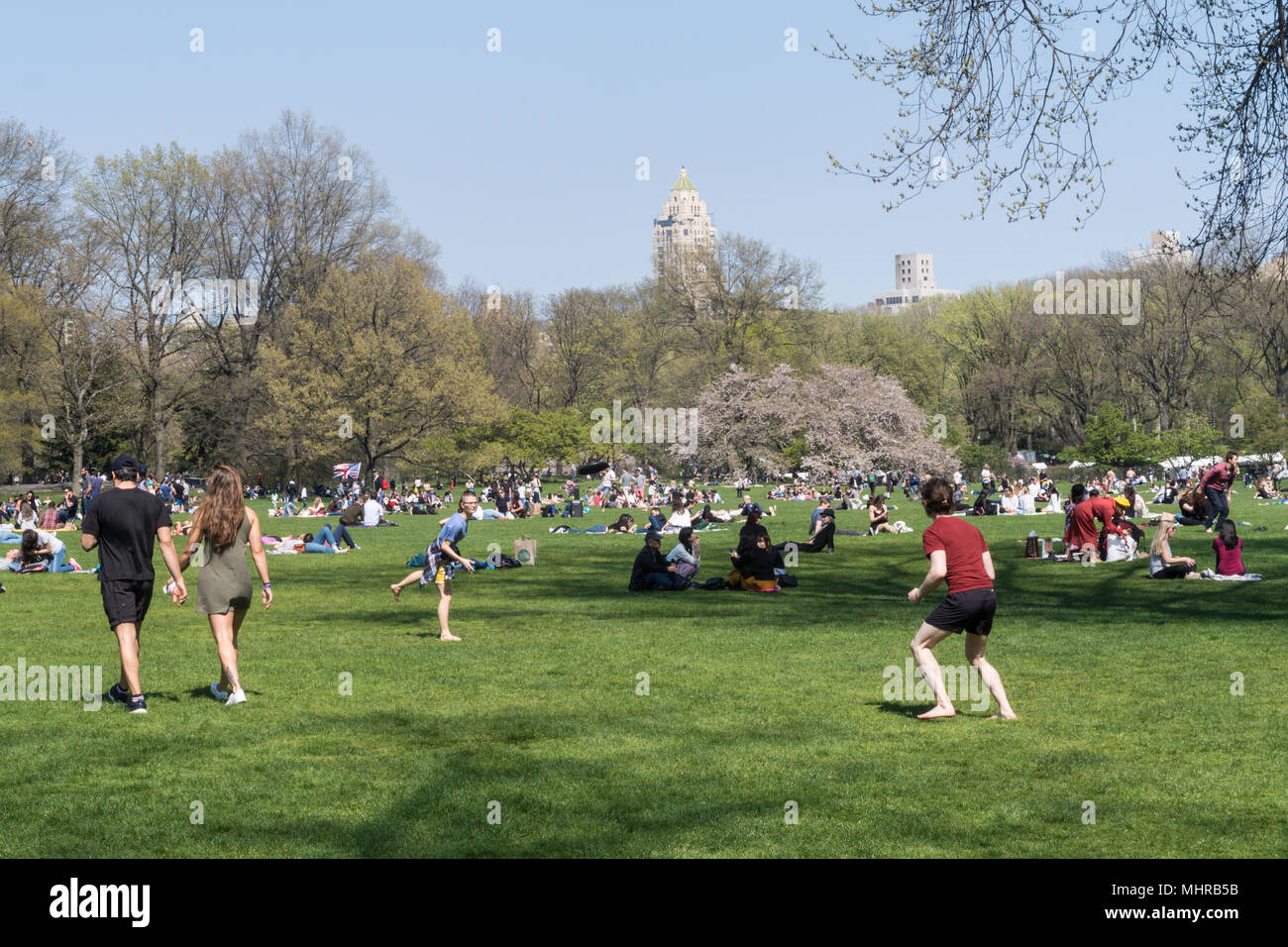 People Enjoying Leisure Activities at the Sheep Meadow in Central Park