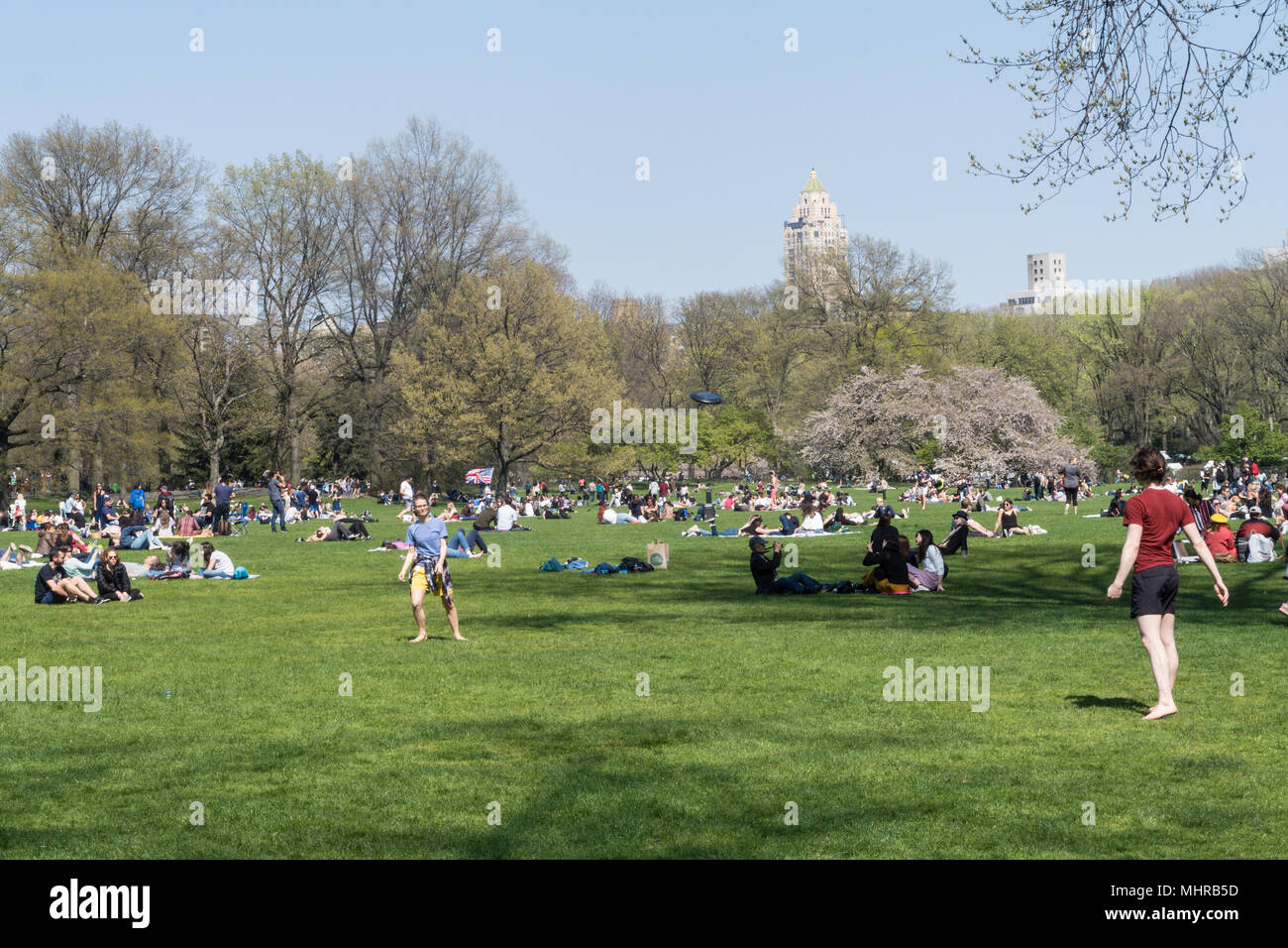 People Enjoying Leisure Activities at the Sheep Meadow in Central Park ...