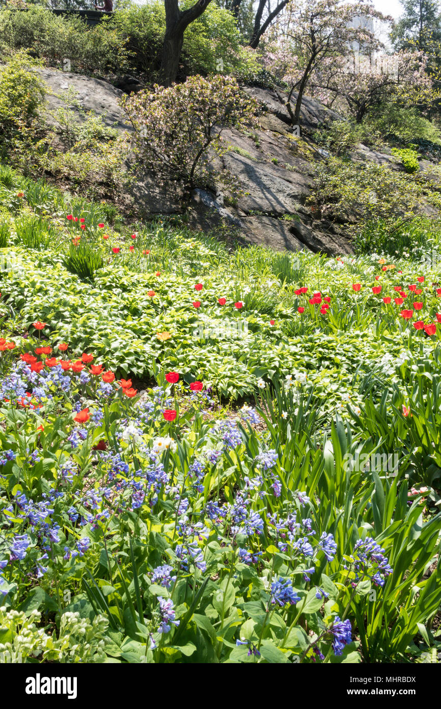 Shakespeare Garden Is Beautiful With Springtime Flowers Central