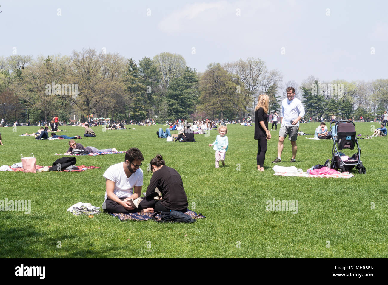 People Enjoying Central Park in the Springtime, NYC, USA Stock Photo