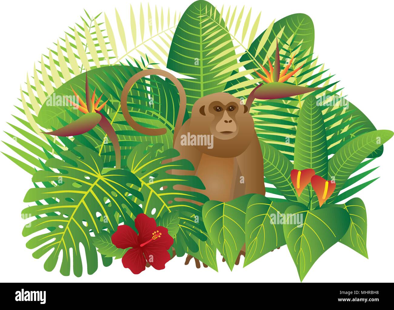 Tropical Rain Forest  Jungle Plants with Leaves Flowers and Monkey Isolated on White Background Color Illustration Stock Vector