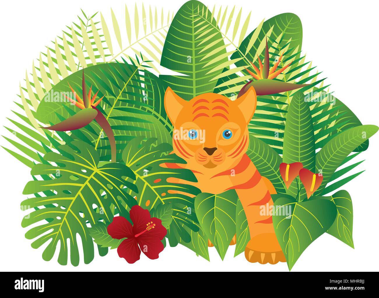 Tropical Rain Forest  Jungle Plants with Leaves Flowers and Tiger Cub Isolated on White Background Color Illustration Stock Vector