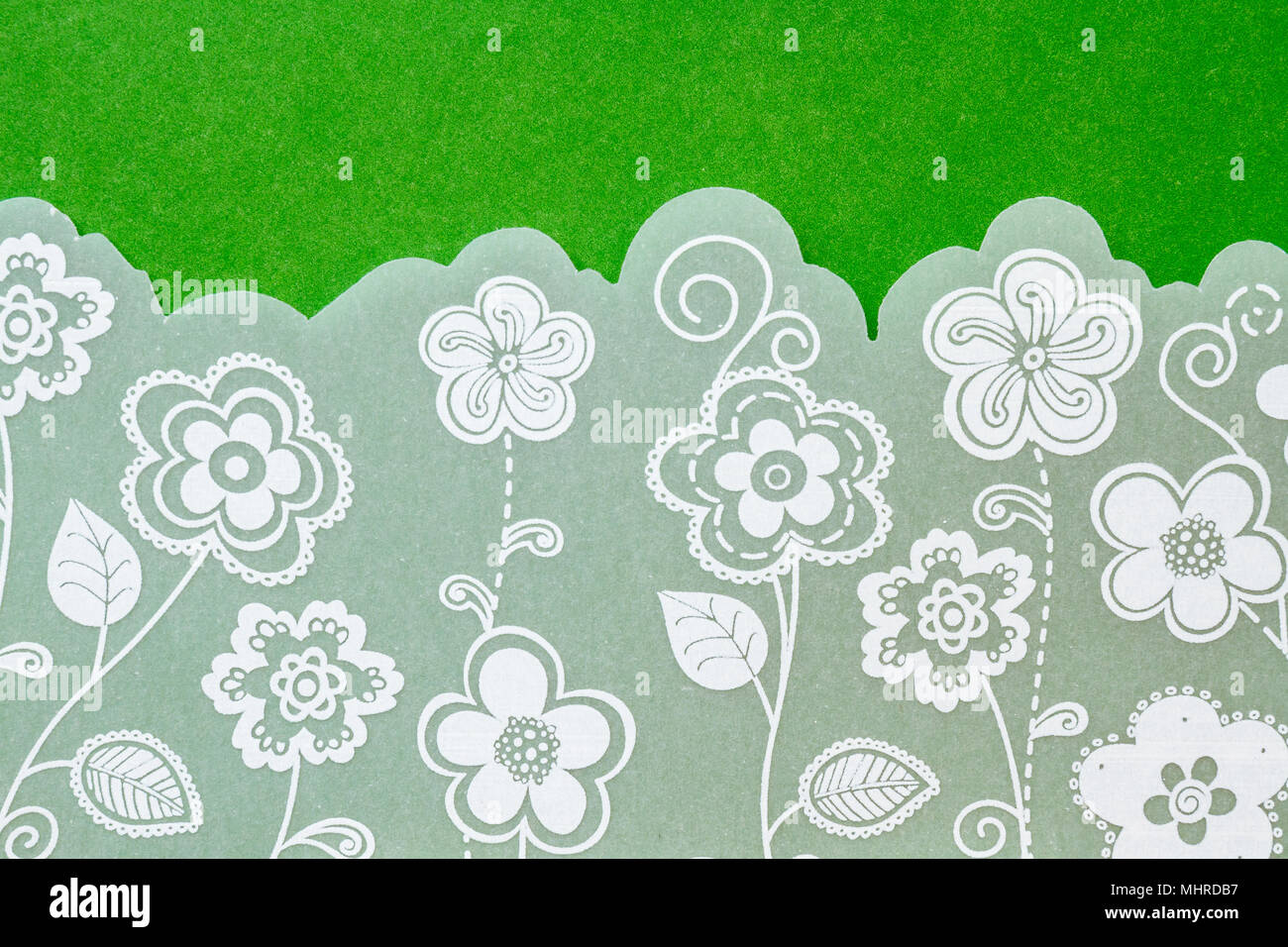 White wedding invitation with flowers lace illustration on green background. Close-up horizontal shot. cute and beautiful elements. Stock Photo