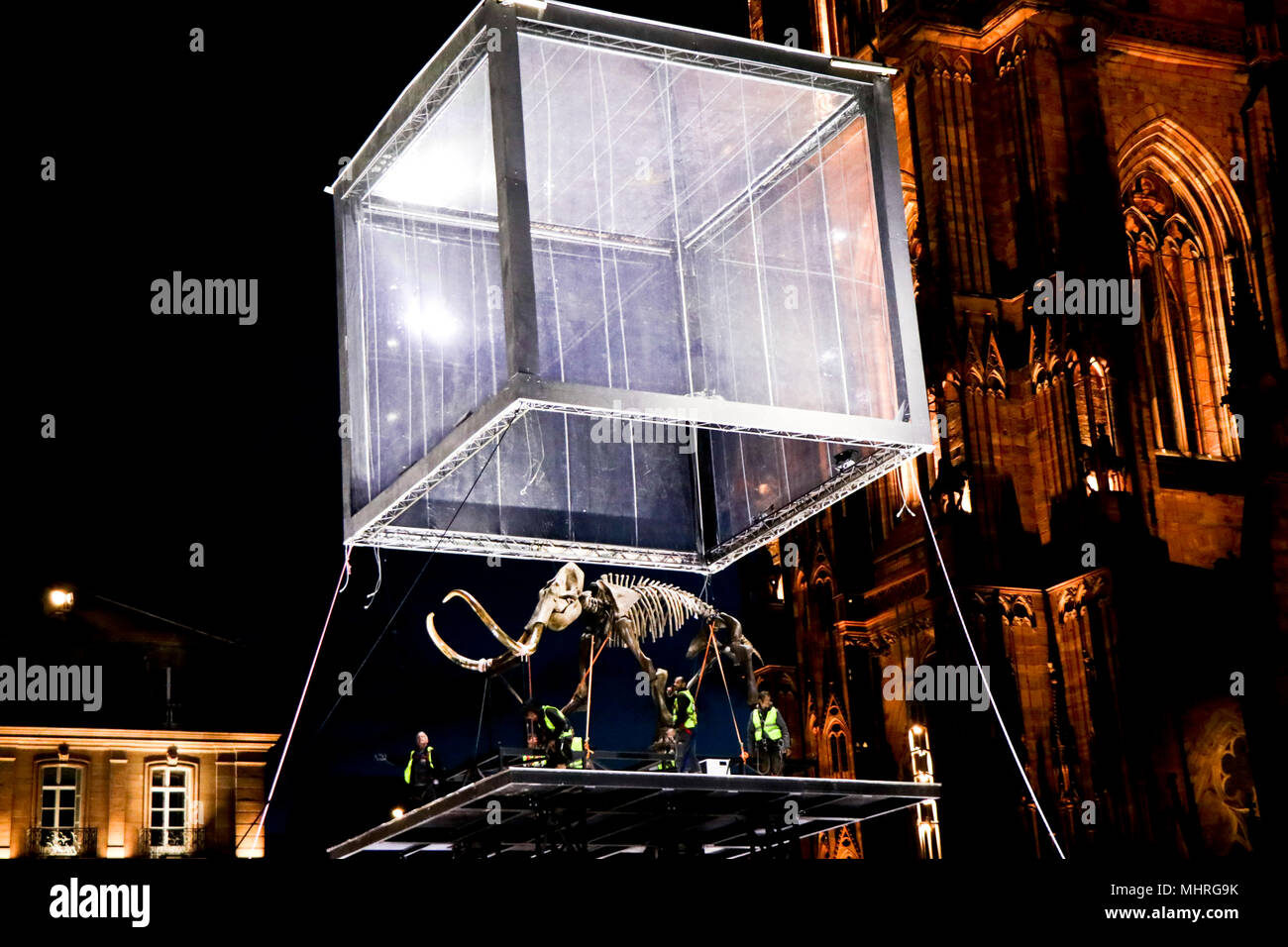 Jacques Rival’s installation 'Mammuthus Volantes' (Flying Mammoth) seen being lifted by a crane to be placed next to the water fountains in Cathedral Square in Strasbourg during the 'Industrie Magnifique' festival. The complete mammoth skeleton was acquired at an auction by the company ‘Soprema’ and its size are 3.4 metres in length, 5.4 metres in height and its weighs is around 1400 kilograms. Stock Photo