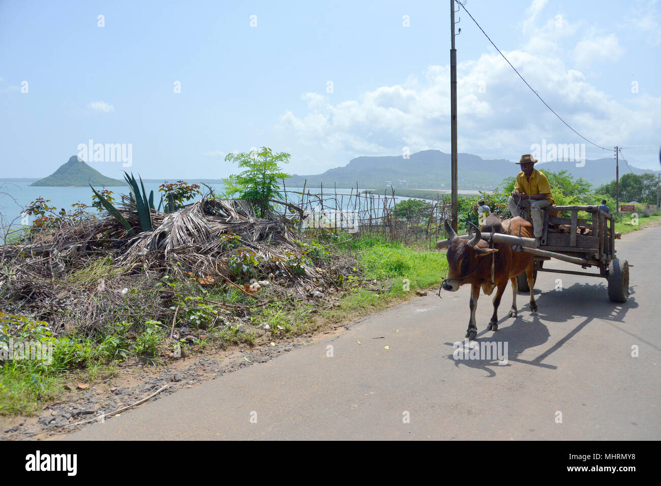 19 January 2018, Madagascar, Antsiranana: Traditional traffic on a road near the bay of Antsiranana with a view of the Pain de Sucre, a small island in the bay of Antsiranana in the north of Madagascar. | usage worldwide Stock Photo