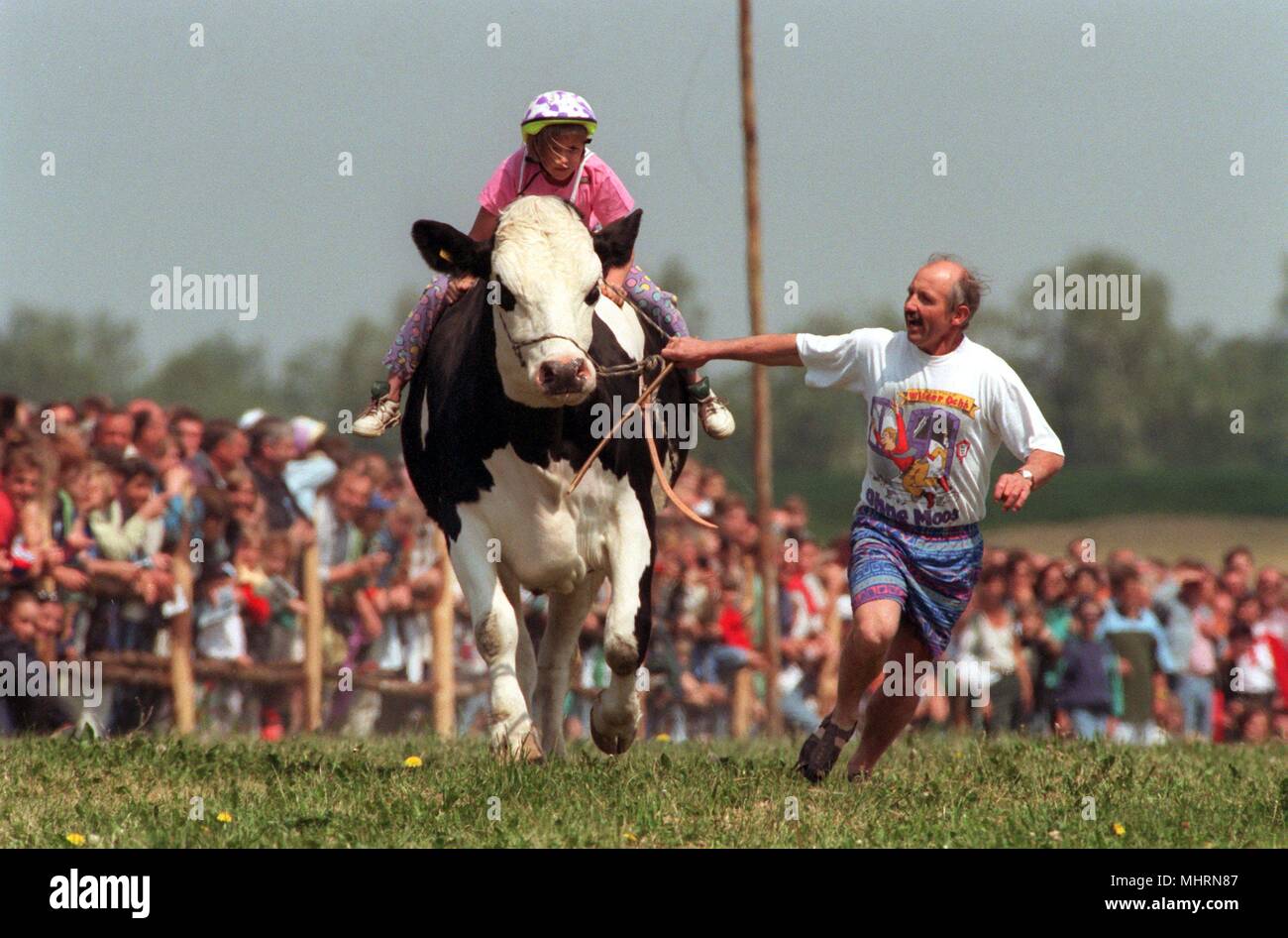 Racing ox 'Steffen' gallops on 25.5.1997 with his 'jockey' Johanna on her back and her father Michael on the harness over the 200-meter-long racetrack. At the 'Championships of the Upper Bavarian Rennochsen' at the Braumillerhof in Biburg (Furstenfeldbruck district), 23 representatives took part, who had to ask the all-important question 'Did he or did he not mogue?'. | usage worldwide Stock Photo