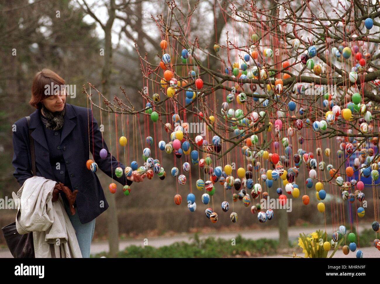 Full of colorful Easter eggs, the branches of a tree in front of a clinic in the North Hessian Bad Wildungen (Waldeck-Frankenberg district) on 18.3.1997. As part of a creative therapy, some 15 spa guests at the clinic worked several hours to hang the 2000 self-painted eggs. As every year, one hopes this time that not too many eggs of the colorful tree will be lost through theft  fs12 . | usage worldwide Stock Photo