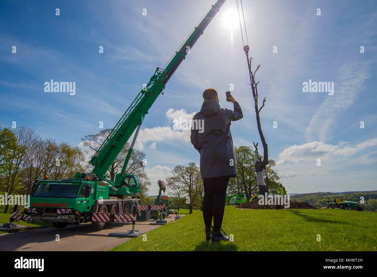Yorkshire Sculpture Park, UK. 3rd May 2018. A visitor to Yorkshire Sculpture Park takes a picture of ‘Vene di pietra tra i rami’ by Italian artist Giuseppe Penone. The sculpture was installed on Thursday 3rd May by technicians at the West Yorkshire based park. The major exhibition ‘A Tree in the Wood’ officially opens on 26th May and features works drawn from the past five decades of Penone’s career. Picture: Scott Bairstow/Alamy Live News Stock Photo