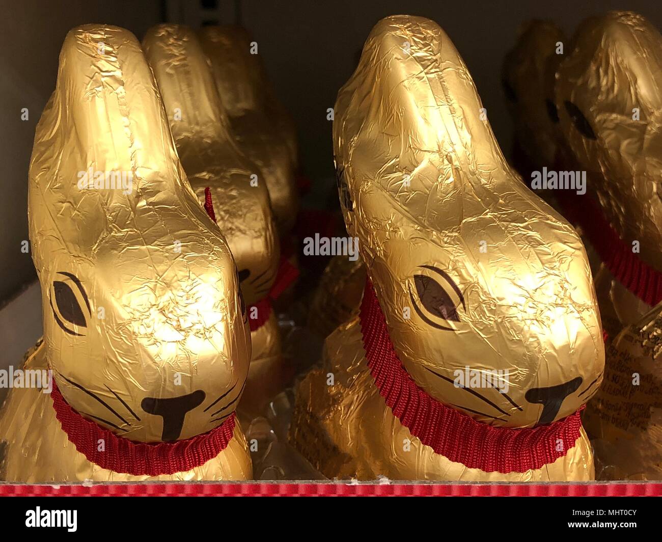 Gold foil wrapped chocolate bunnies, closeup Stock Photo